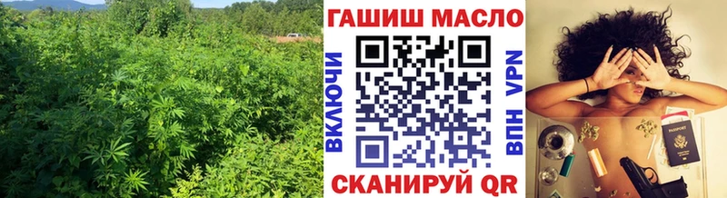 гидра как зайти  Уржум  даркнет как зайти  Дистиллят ТГК THC oil 